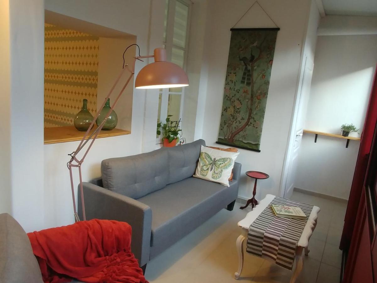 Appartement Rez De Chaussée Centre, Jardin